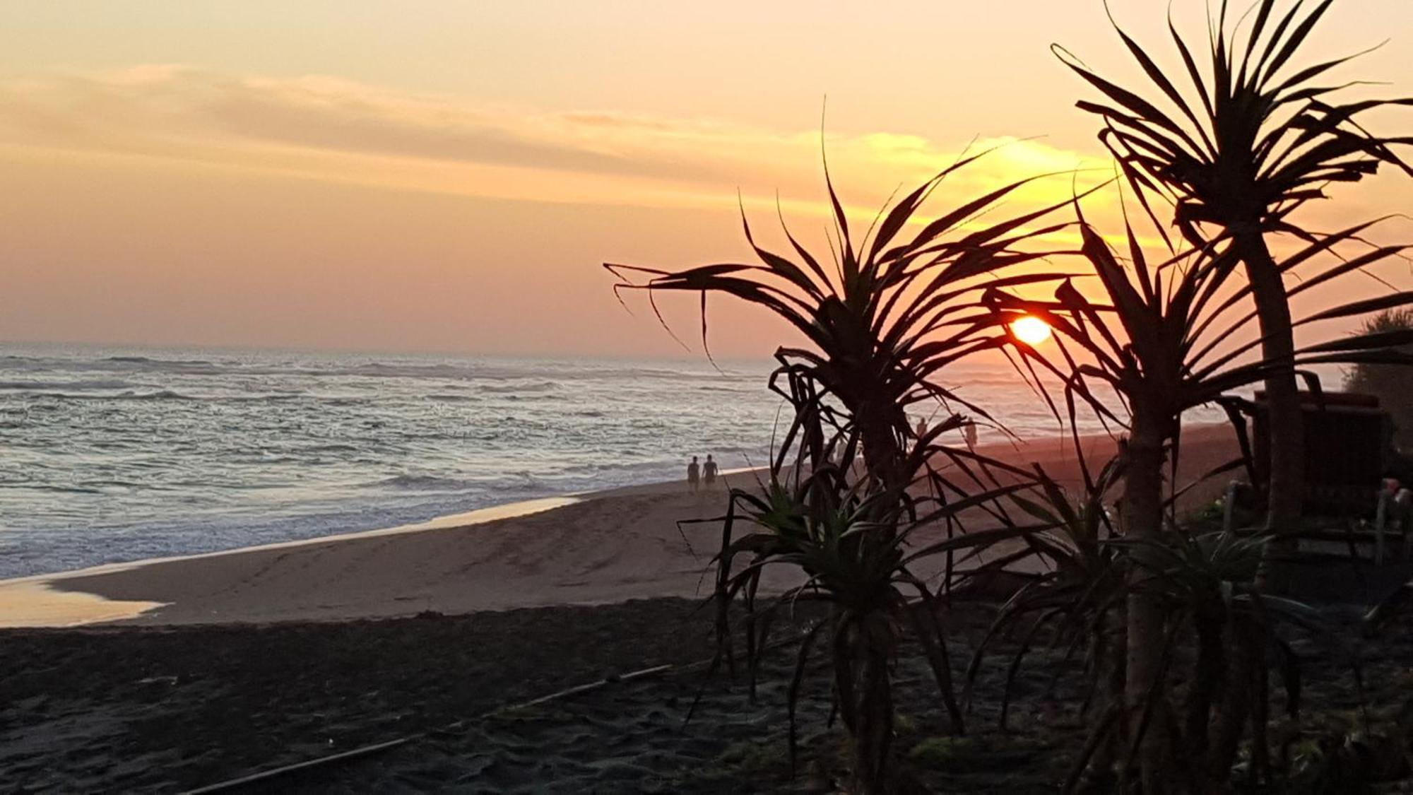 Sejuk Beach Villas Canggu Exteriör bild